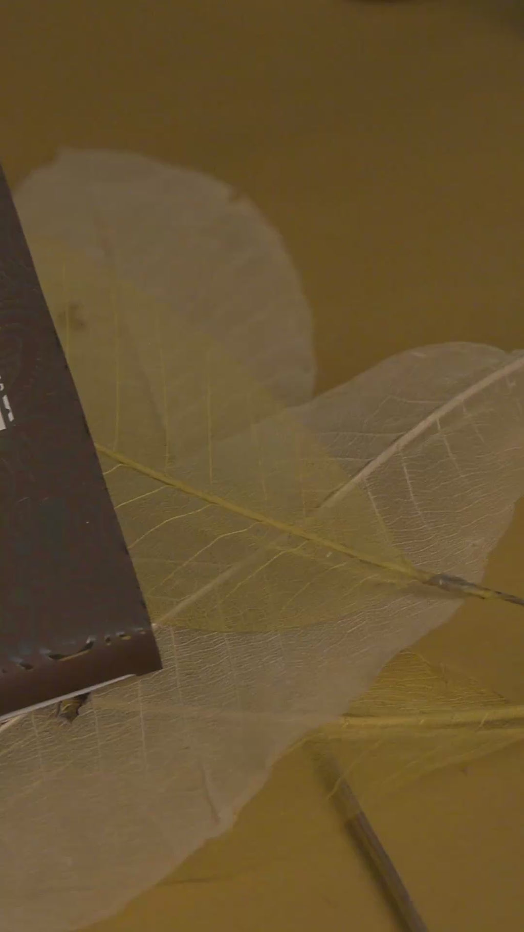 Visible Inclusion Bar